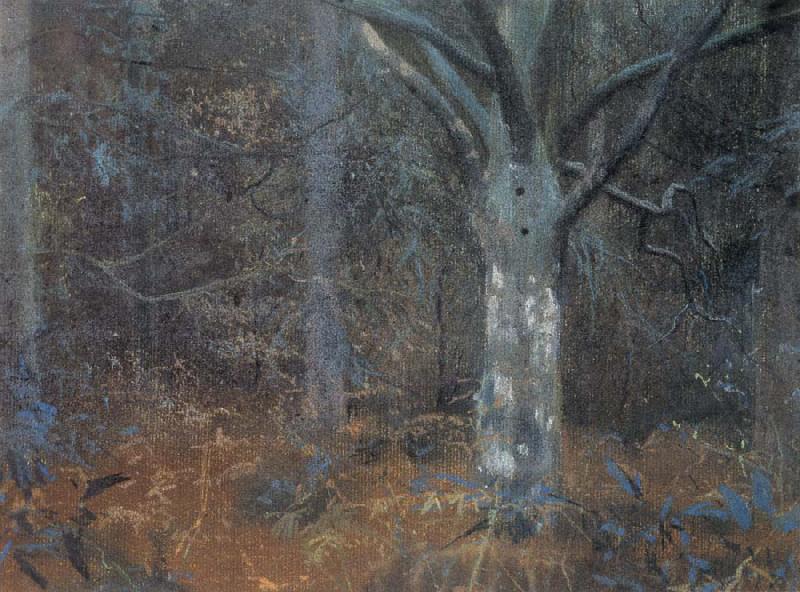 William Stott of Oldham The Old Sycamore